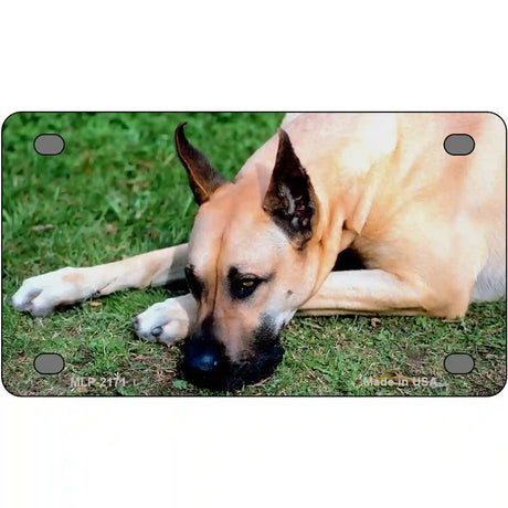 Great Dane Dog Metal Novelty License Plate 4" x 2.2" (MLP)