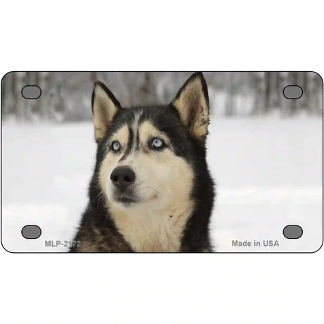 Husky Dog Metal Novelty License Plate 4" x 2.2" (MLP)