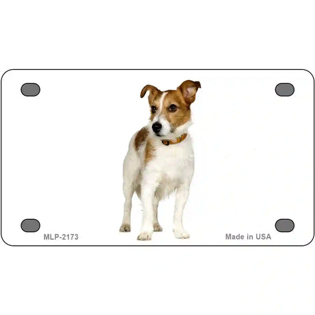 Jack Russell Terrier Dog Metal Novelty License Plate 4" x 2.2" (MLP)