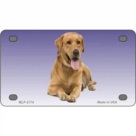 Yellow Labrador Retriever Dog Metal Novelty License Plate 4" x 2.2" (MLP)