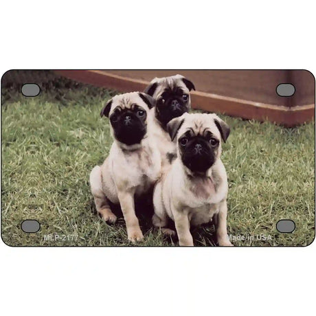 Pug Dog Metal Novelty License Plate 4" x 2.2" (MLP)