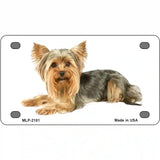 Yorkshire Terrier Dog Metal Novelty License Plate 4" x 2.2" (MLP)