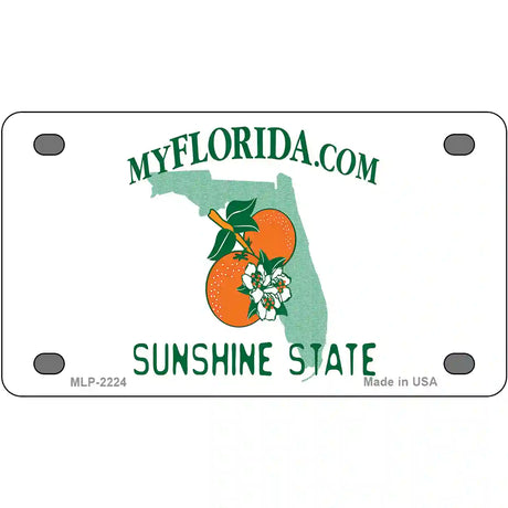 Florida State Blank Novelty Metal License Plate 4" x 2.2" (MLP)