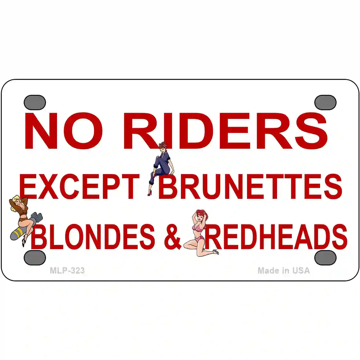 No Riders Except Metal Novelty License Plate 4" x 2.2" (MLP)