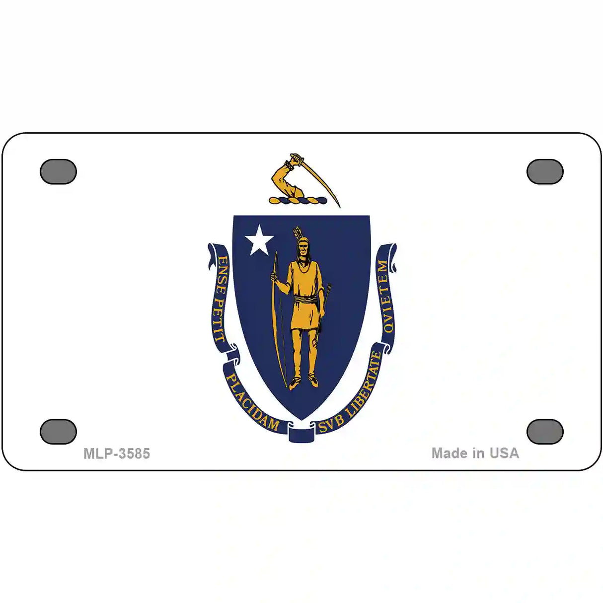 Massachusetts State Flag Metal Novelty License Plate 4" x 2.2" (MLP)