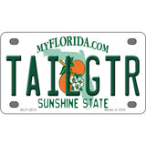 Tailgtr Florida Novelty Metal License Plate 4" x 2.2" (MLP)