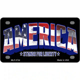 America Metal Novelty License Plate 4" x 2.2" (MLP)