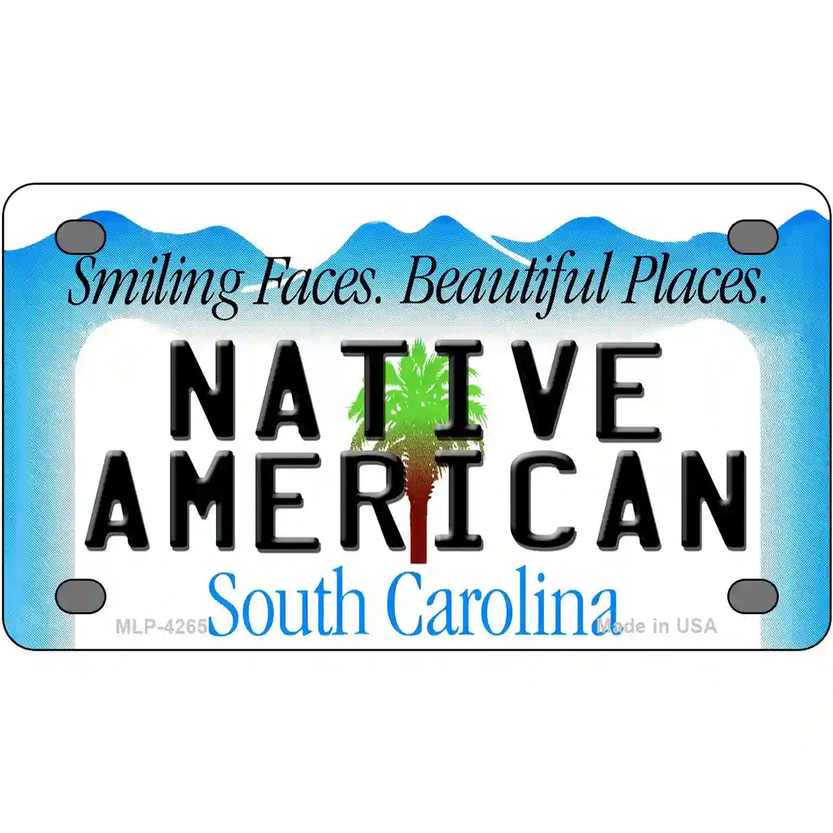 Native American South Carolina Metal Novelty License Plate 4" x 2.2" (MLP)