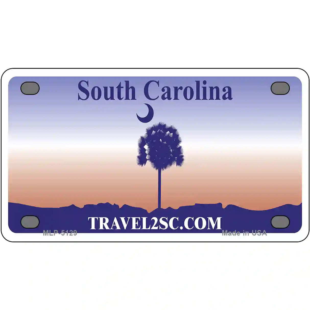 South Carolina Purple Blank Novelty Metal License Plate 4" x 2.2" (MLP)