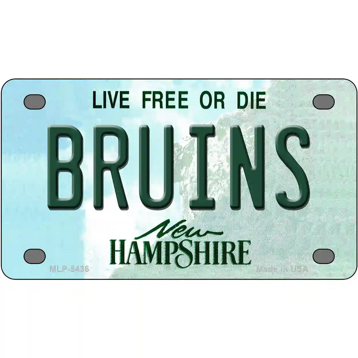 Bruins New Hampshire Metal Novelty License Plate 4" x 2.2" (MLP)