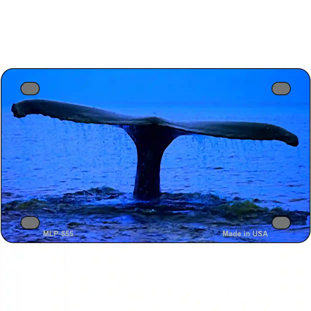 Whale Tail Metal Novelty License Plate 4" x 2.2" (MLP)