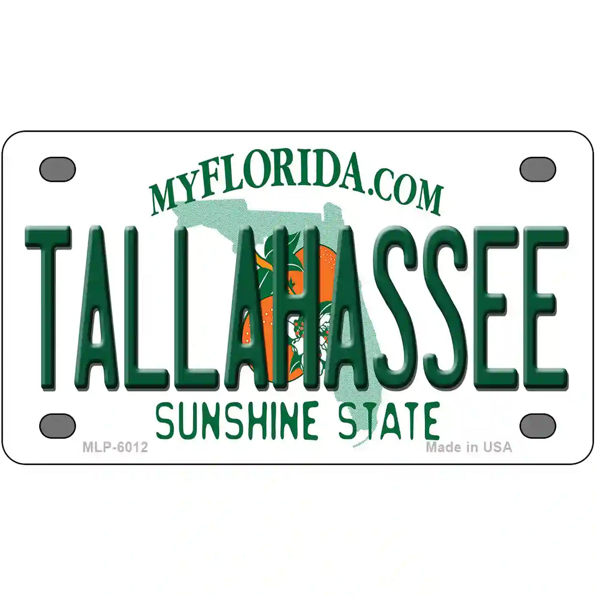 Tallahassee Florida Novelty Metal License Plate 4" x 2.2" (MLP)