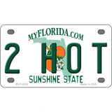 2 Hot Florida Novelty Metal License Plate 4" x 2.2" (MLP)