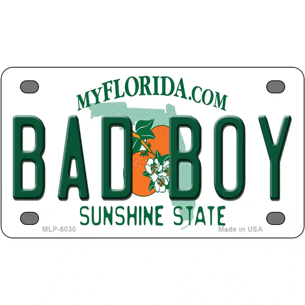 Bad Boy Florida Novelty Metal License Plate 4" x 2.2" (MLP)