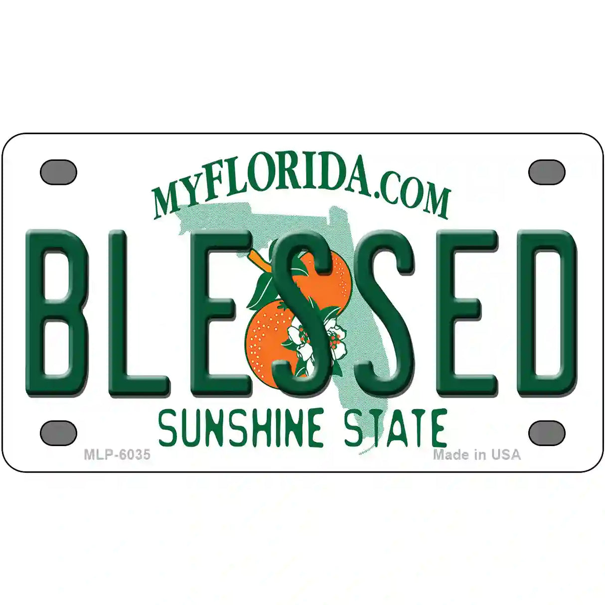 Blessed Florida Novelty Metal License Plate 4" x 2.2" (MLP)