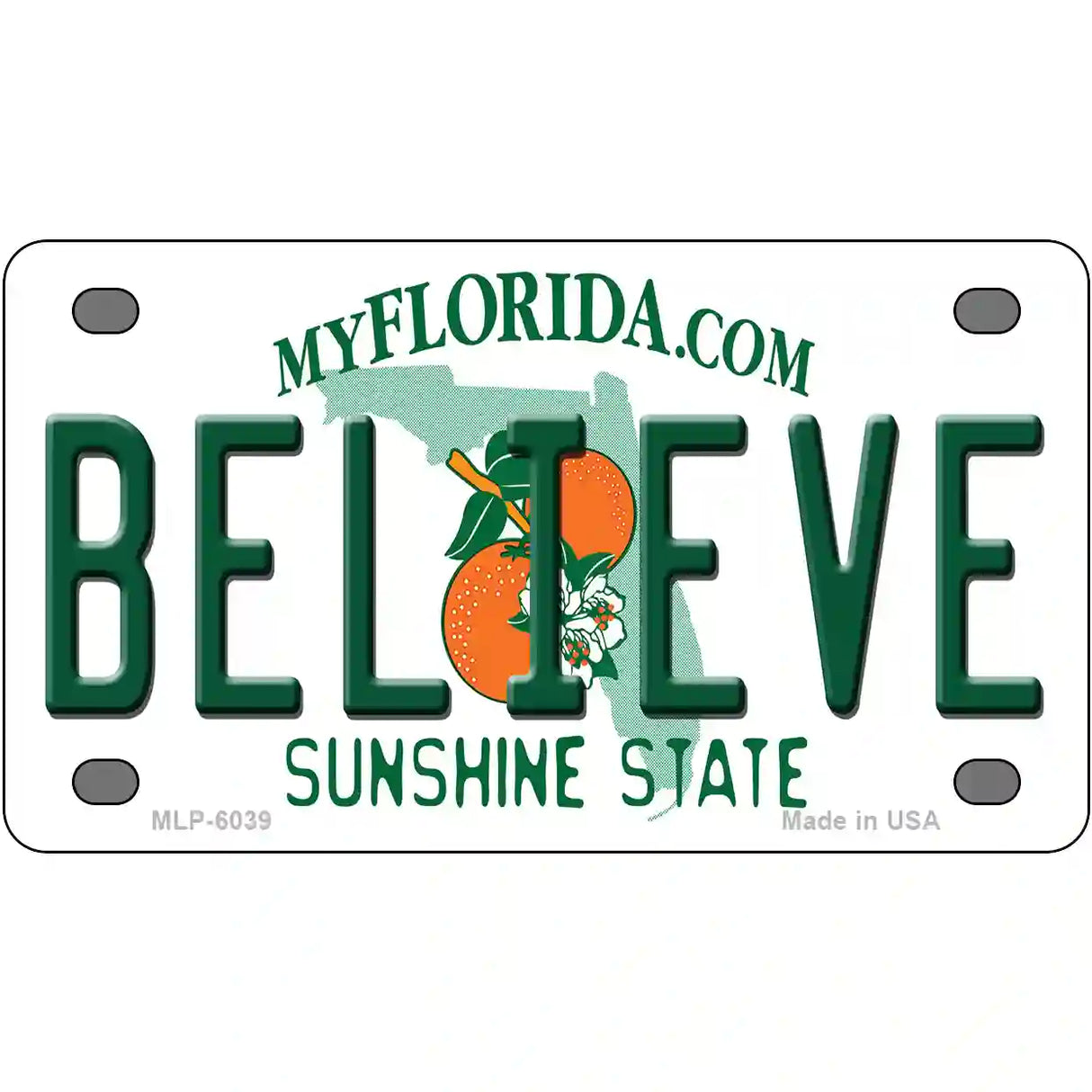 Believe Florida Novelty Metal License Plate 4" x 2.2" (MLP)