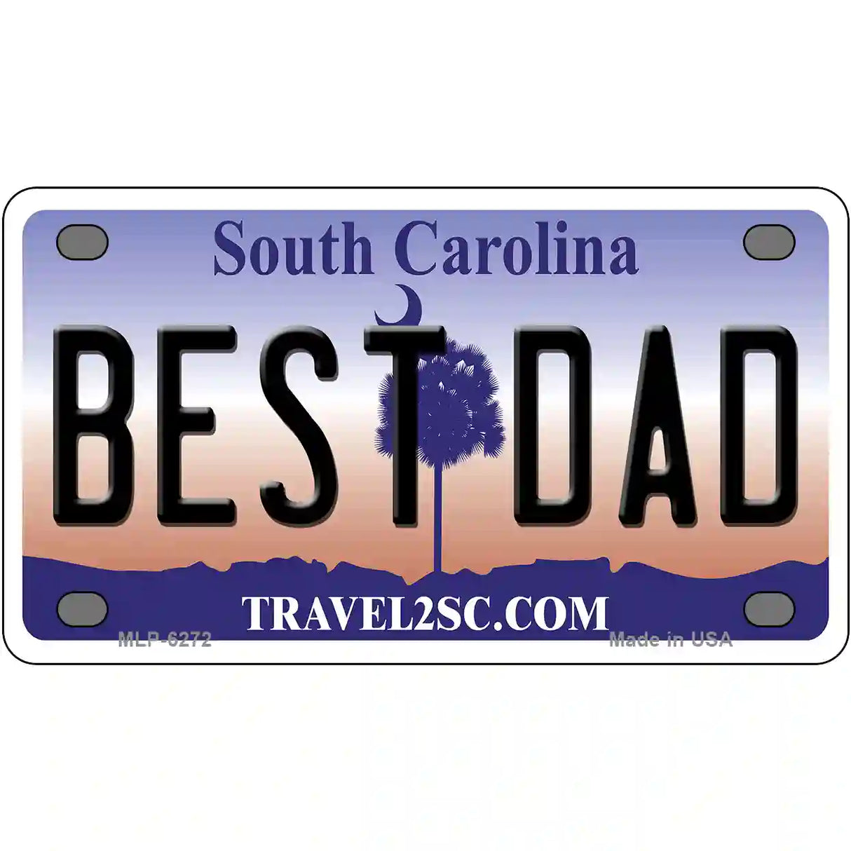 Best Dad South Carolina Novelty Metal License Plate 4" x 2.2" (MLP)