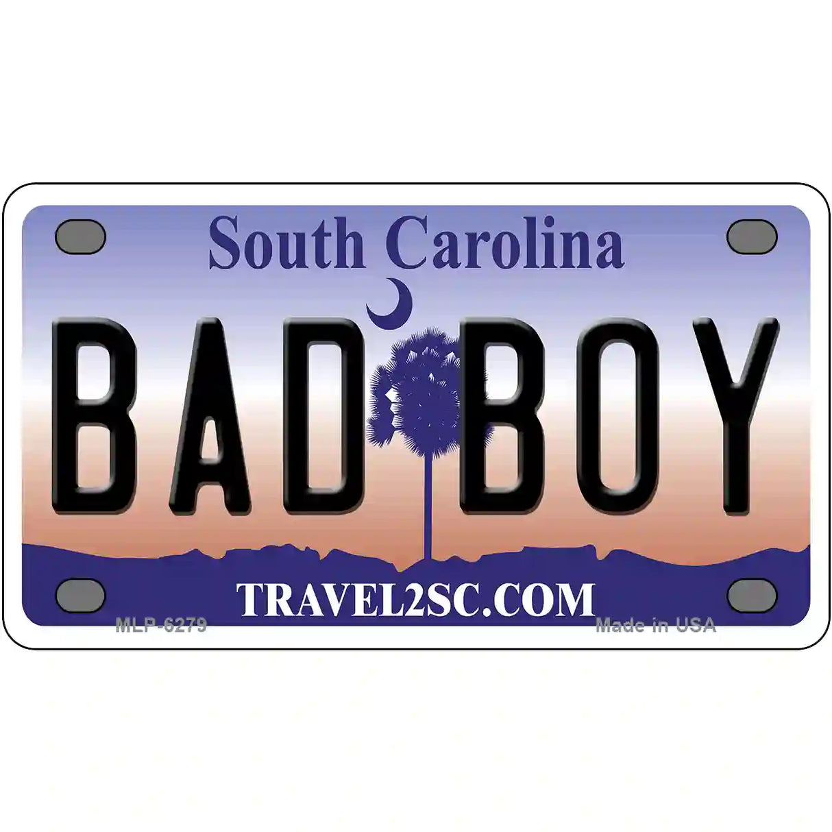 Bad Boy South Carolina Novelty Metal License Plate 4" x 2.2" (MLP)