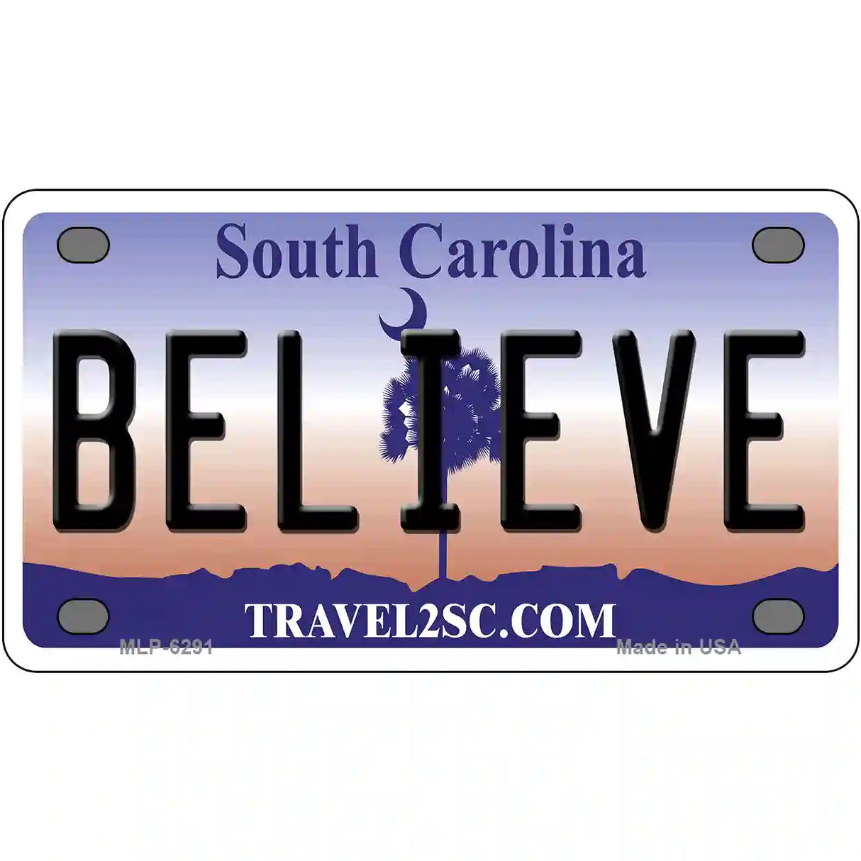 Believe South Carolina Novelty Metal License Plate 4" x 2.2" (MLP)