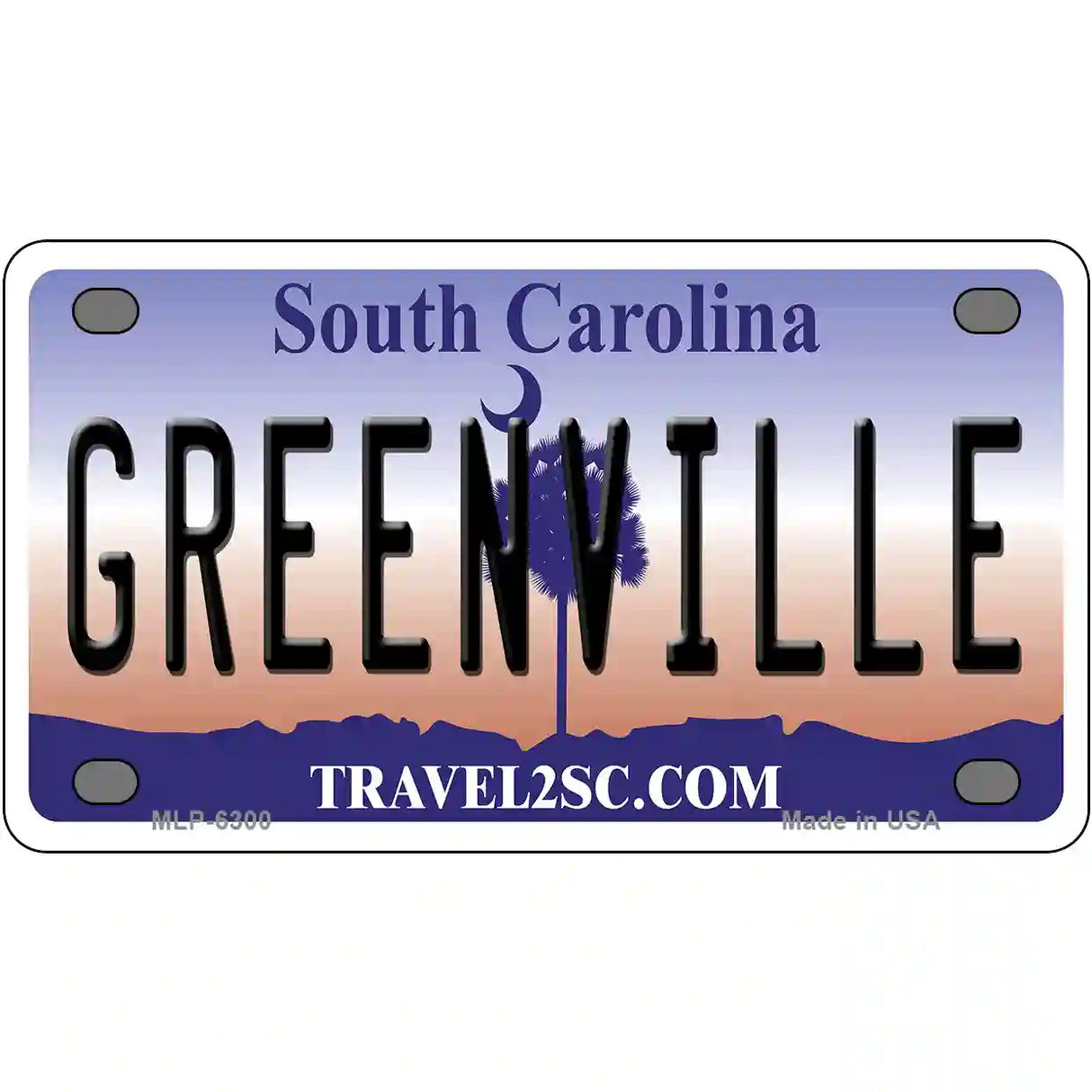 Greenville South Carolina Novelty Metal License Plate 4" x 2.2" (MLP)