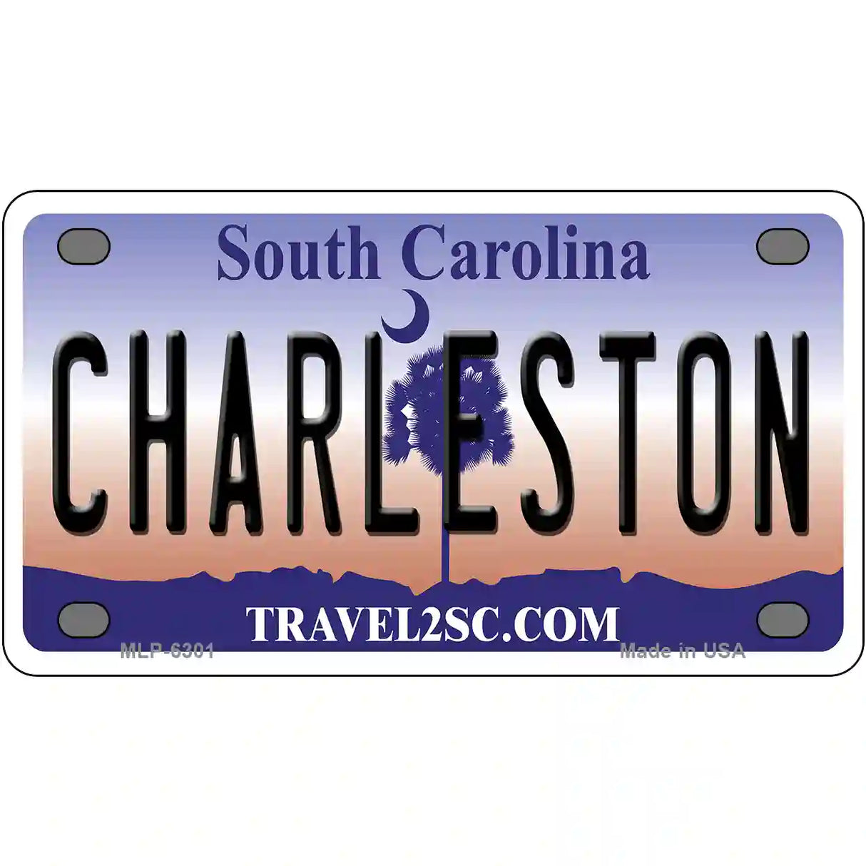 Charleston South Carolina Novelty Metal License Plate 4" x 2.2" (MLP)