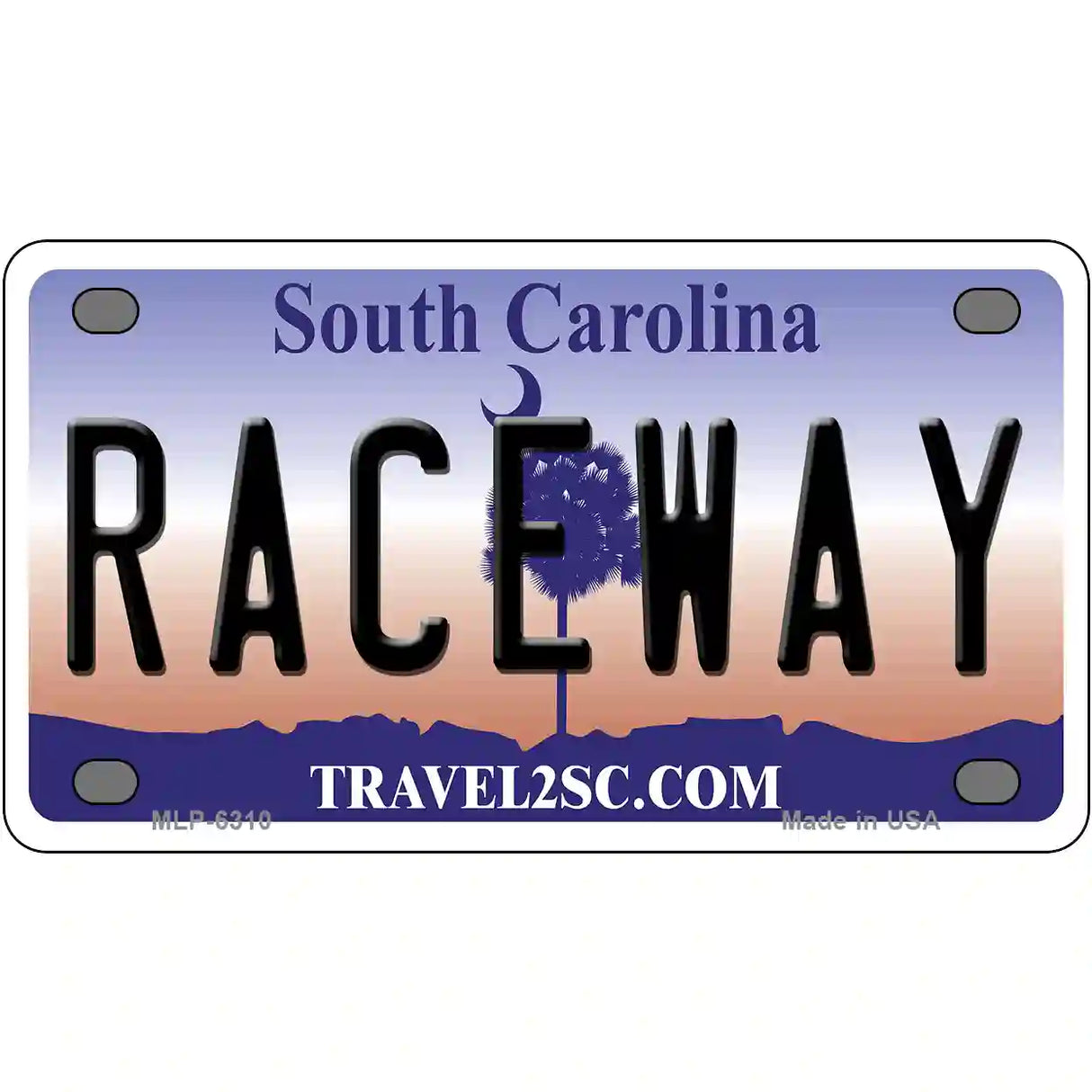 Raceway South Carolina Novelty Metal License Plate 4" x 2.2" (MLP)