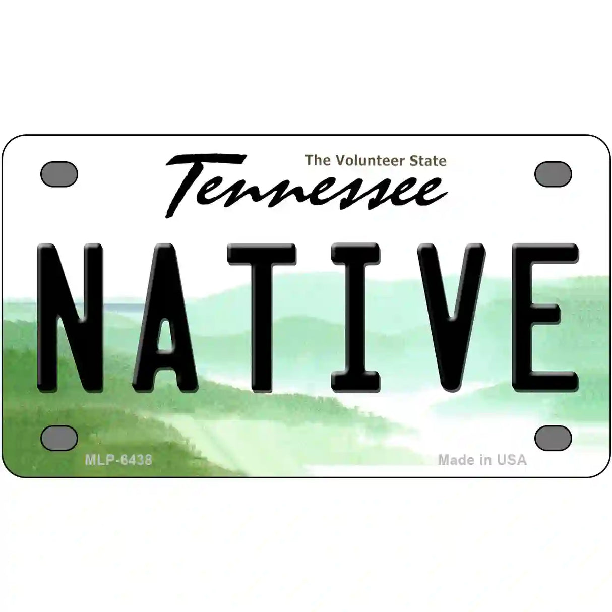 Native Tennessee Novelty Metal License Plate 4" x 2.2" (MLP)