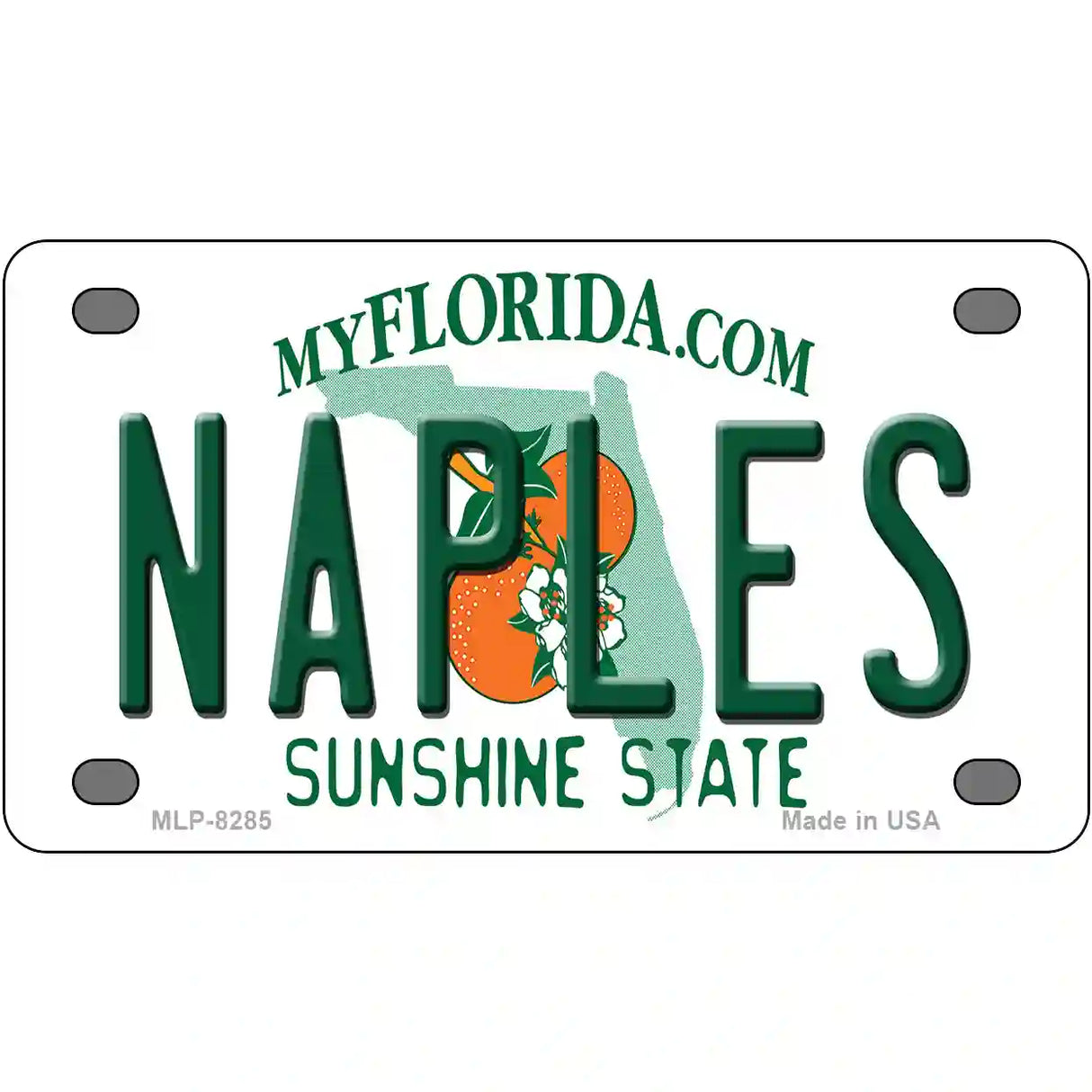 Naples Florida Novelty Metal License Plate 4" x 2.2" (MLP)