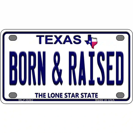 Born and Raised Texas Novelty Metal License Plate 4" x 2.2" (MLP)