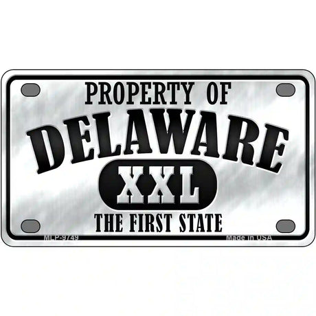 Property Of Delaware Novelty Metal License Plate 4" x 2.2" (MLP)