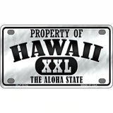 Property Of Hawaii Novelty Metal License Plate 4" x 2.2" (MLP)