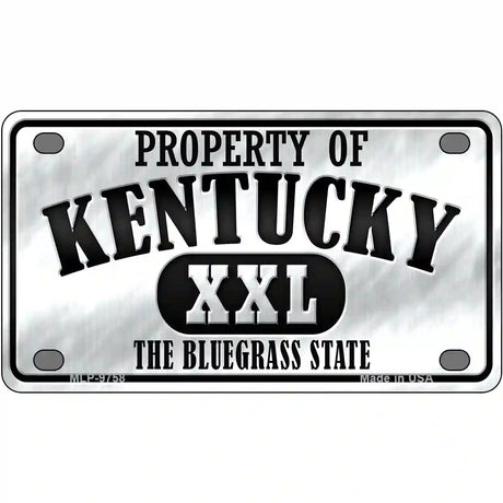 Property Of Kentucky Novelty Metal License Plate 4" x 2.2" (MLP)