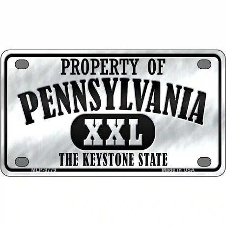 Property Of Pennsylvania Novelty Metal License Plate 4" x 2.2" (MLP)