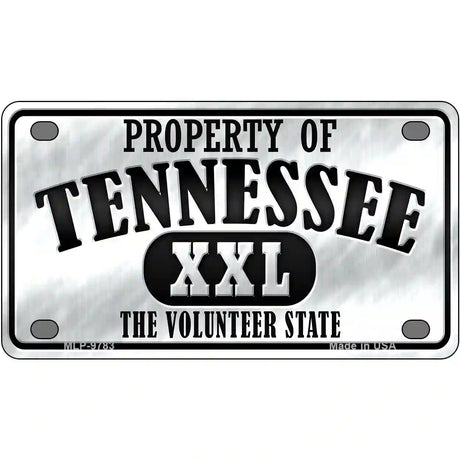 Property Of Tennessee Novelty Metal License Plate 4" x 2.2" (MLP)