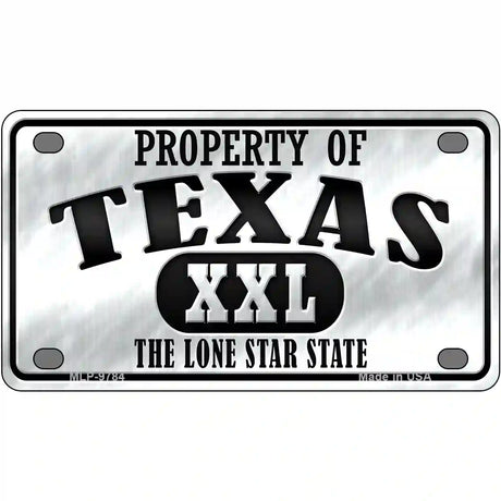 Property Of Texas Novelty Metal License Plate 4" x 2.2" (MLP)