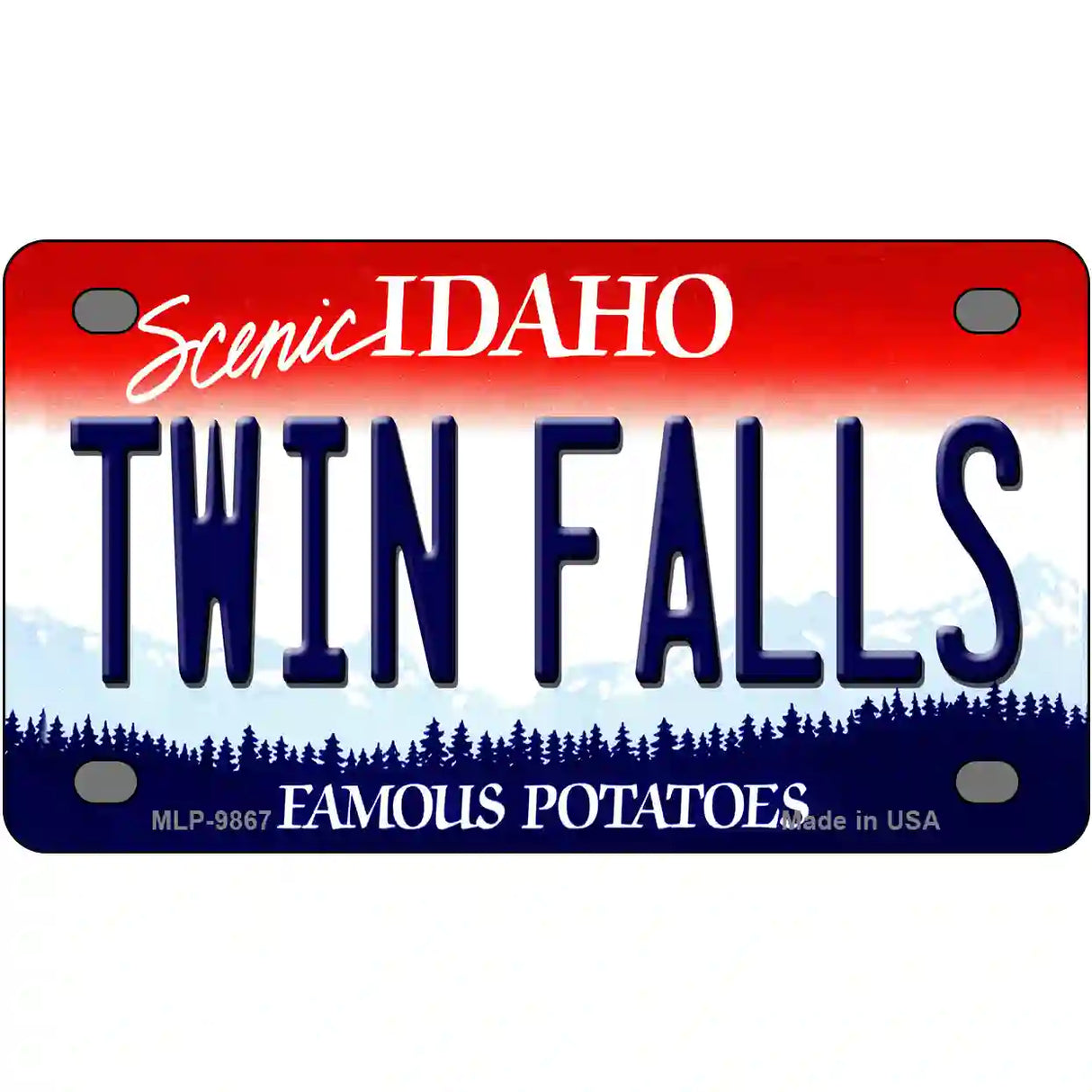 Twin Falls Idaho Metal Novelty License Plate 4" x 2.2" (MLP)