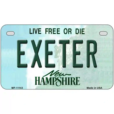 Exeter New Hampshire State License Plate 7" x 4" (MP)