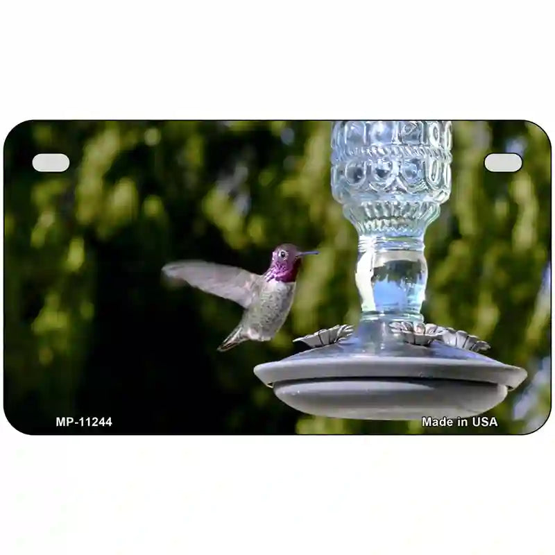 Hummingbird At Feeder Novelty Metal License Plate 7" x 4" (MP)