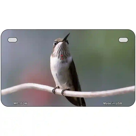 Hummingbird Perched On Branch Novelty Metal License Plate 7" x 4" (MP)