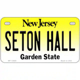 Seton Hall Novelty Metal License Plate 7" x 4" (MP)