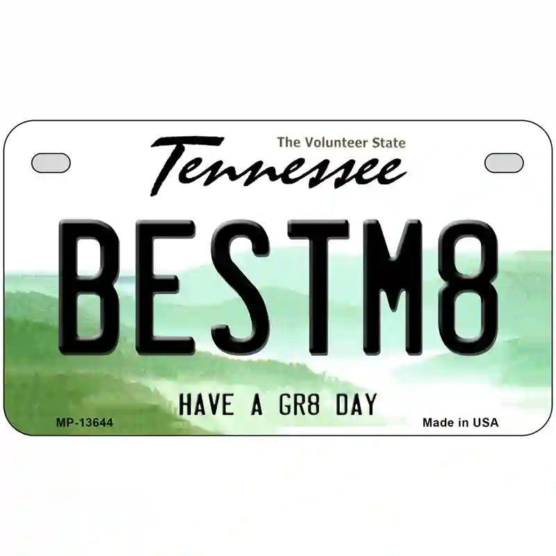 Best Mate Novelty Metal License Plate Tag 7" x 4" (MP)