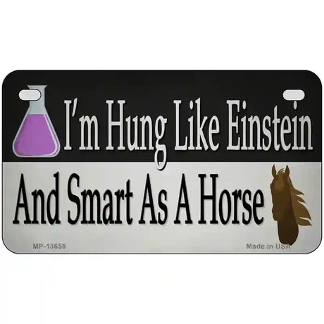 Hung Like Einstein Novelty Metal License Plate Tag 7" x 4" (MP)