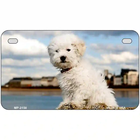 Bichon Frise Dog Metal Novelty License Plate 7" x 4" (MP)