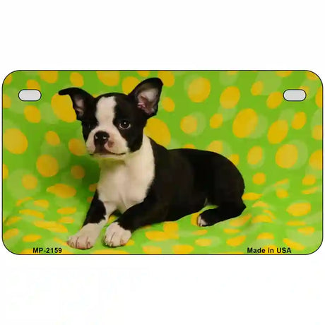 Boston Terrier Dog Metal Novelty License Plate 7" x 4" (MP)