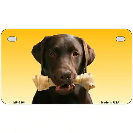 Chocolate Labrador Retriever Dog Metal Novelty License Plate 7" x 4" (MP)