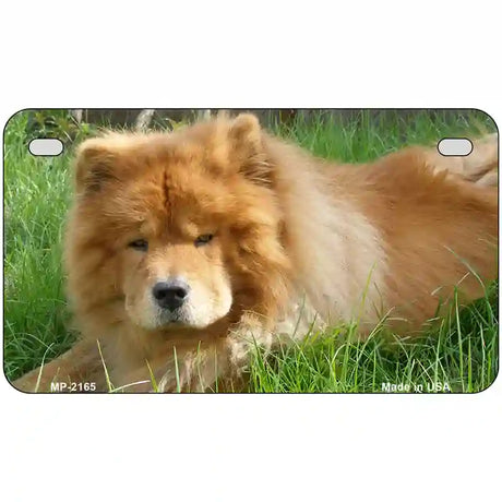 Chow Chow Dog Metal Novelty License Plate 7" x 4" (MP)