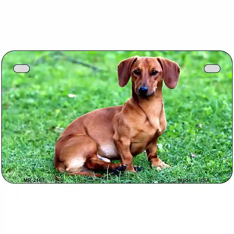 Dachshund Dog Metal Novelty License Plate 7" x 4" (MP)