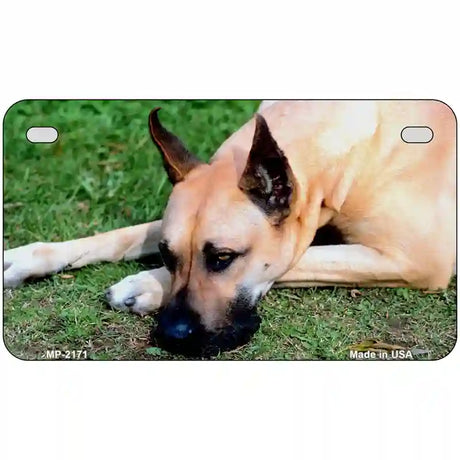 Great Dane Dog Metal Novelty License Plate 7" x 4" (MP)