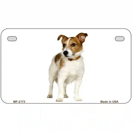 Jack Russell Terrier Dog Metal Novelty License Plate 7" x 4" (MP)