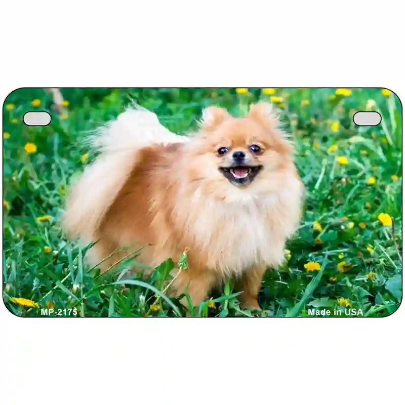 Pomeranian Dog Metal Novelty License Plate 7" x 4" (MP)